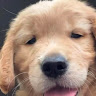 Profile picture of Kwang